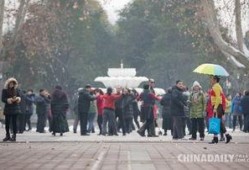 郑州一中爆料事件最新,揭秘校园内幕引发社会关注